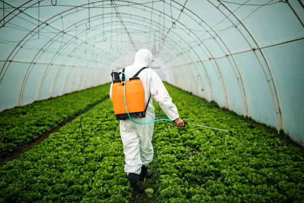Best Local Pest Control Services  in Cross City, FL