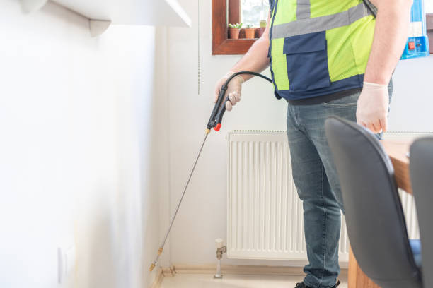 Reliable Cross City, FL Pest Control Solutions