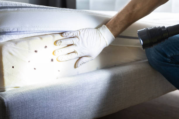 Best Pest Control Near Me  in Cross City, FL